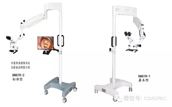 640.webp.jpg 640.webp.jpg