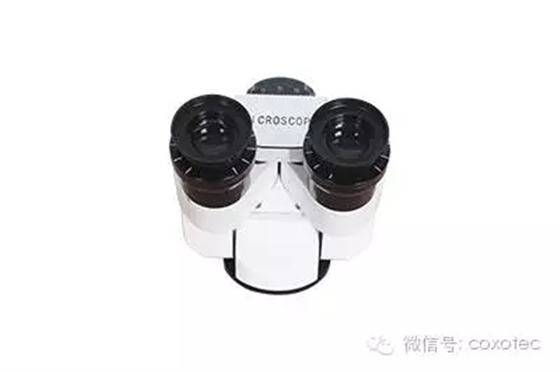 640.webp (2).jpg 640.webp (2).jpg