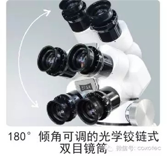 640.webp (8).jpg 640.webp (8).jpg