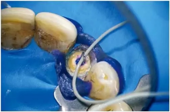 640.webp (12).jpg 640.webp (12).jpg