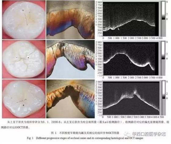 360截圖20170120162703839.jpg 360截圖20170120162703839.jpg