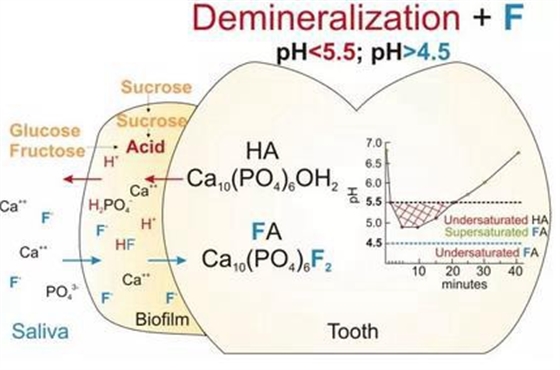 360截圖20170124182022508.jpg 360截圖20170124182022508.jpg