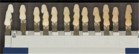 圖片12.png 圖片12.png