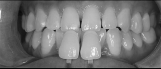 圖片24.png 圖片24.png