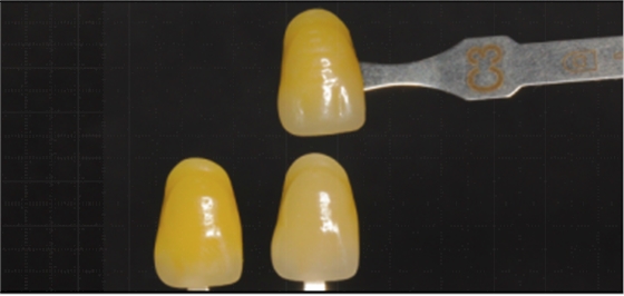 圖片19.png 圖片19.png