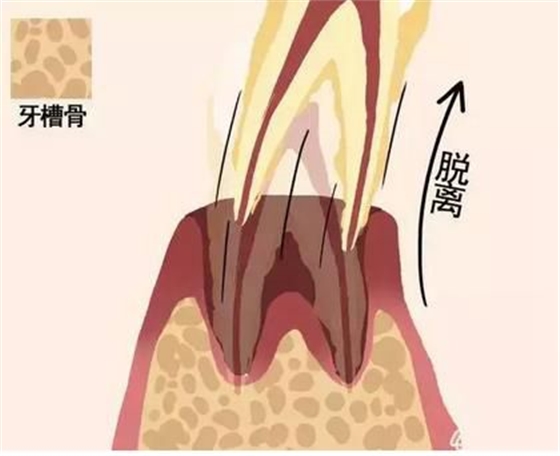 360截圖20170422172519797.jpg 360截圖20170422172519797.jpg