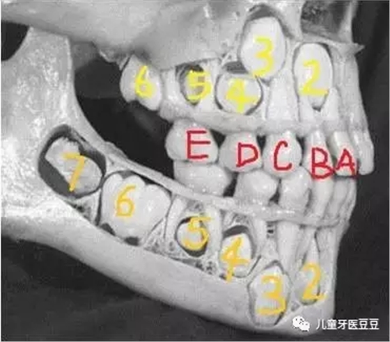 @DZ[3%9L4U}4_TTA$V3FRCX.png @DZ[3%9L4U}4_TTA$V3FRCX.png