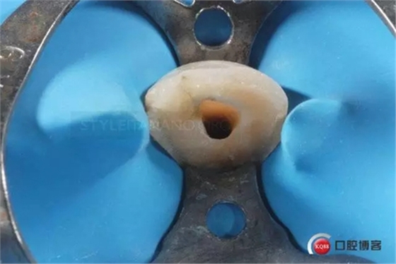 8.webp.jpg 8.webp.jpg