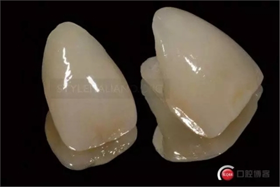 21.webp.jpg 21.webp.jpg