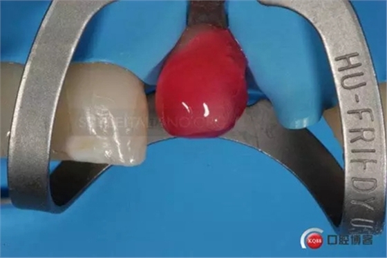 23.webp.jpg 23.webp.jpg