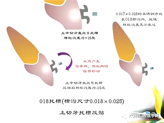 1.webp.jpg 1.webp.jpg