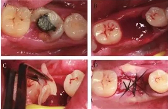 3.webp (1).jpg 3.webp (1).jpg