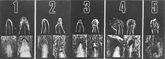 2.webp.jpg 2.webp.jpg