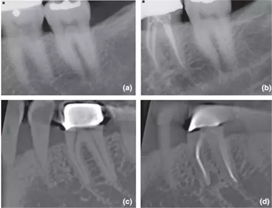 3.webp.jpg 3.webp.jpg