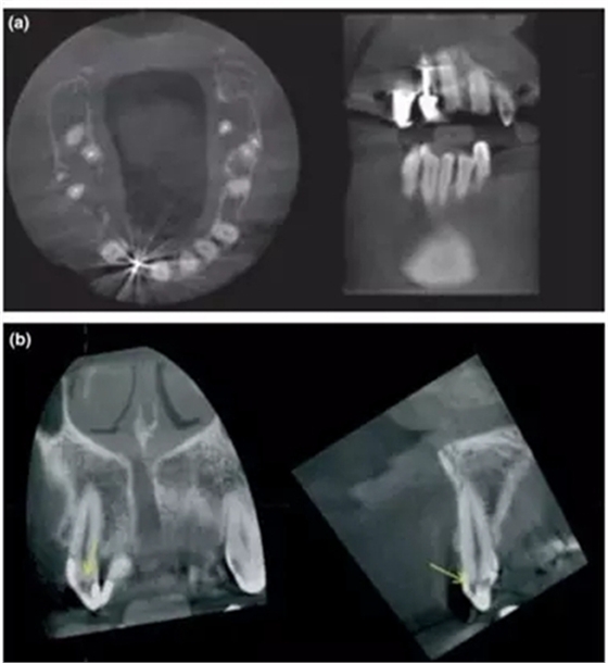 8.webp.jpg 8.webp.jpg