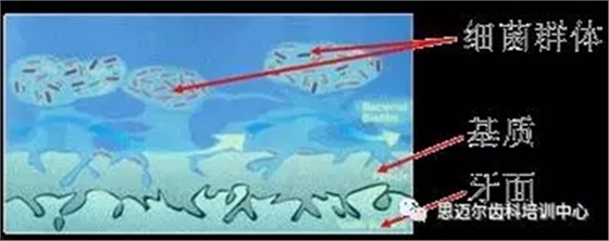 2.webp.jpg 2.webp.jpg