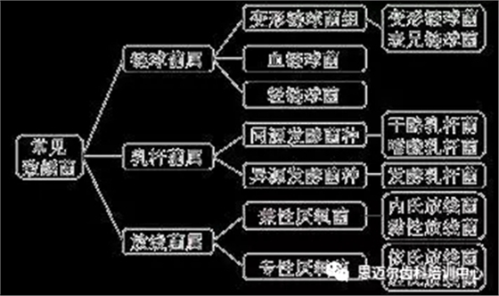 3.webp.jpg 3.webp.jpg