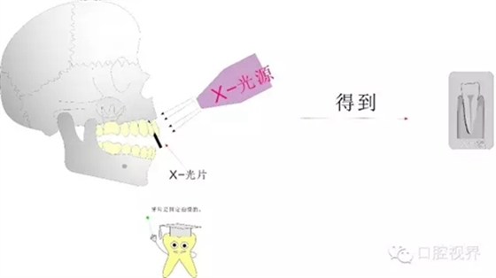 w.webp.jpg w.webp.jpg