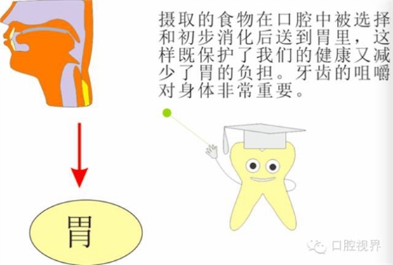 【口腔科普】愛牙從這里開始——愛牙科普知識300問(連載四) 【口腔科普】愛牙從這里開始——愛牙科普知識300問(連載四)