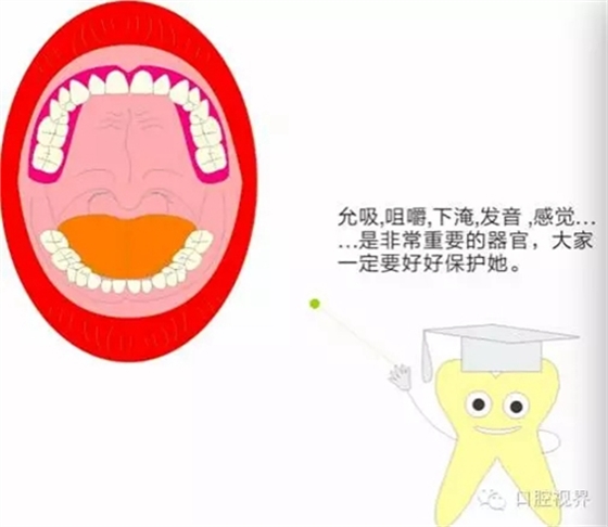 【口腔科普】愛牙從這里開始——愛牙科普知識300問(連載四) 【口腔科普】愛牙從這里開始——愛牙科普知識300問(連載四)