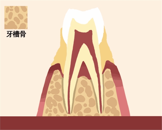 【愛牙科普】牙齒是如何脫落的… 【愛牙科普】牙齒是如何脫落的…