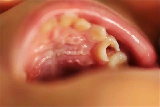 1.webp.jpg 1.webp.jpg