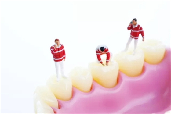 3.webp.jpg 3.webp.jpg