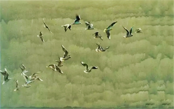 3.webp.jpg 3.webp.jpg