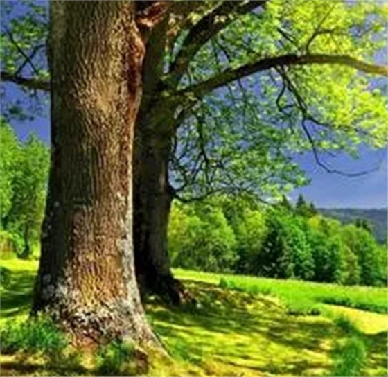 2.webp.jpg 2.webp.jpg