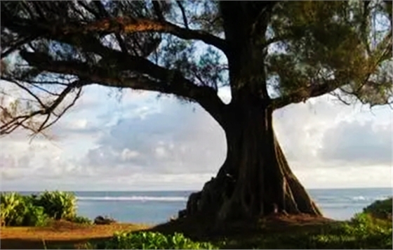 4.webp.jpg 4.webp.jpg