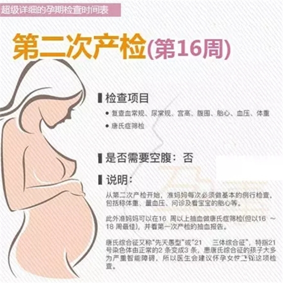 2.webp.jpg 2.webp.jpg