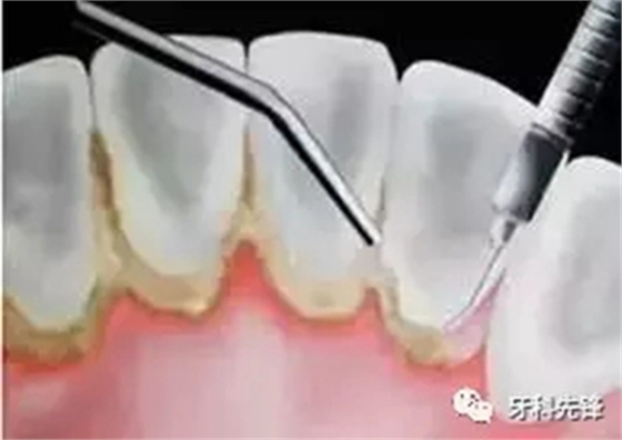 1.webp.jpg 1.webp.jpg