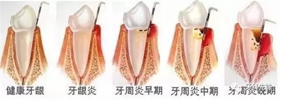 2.webp.jpg 2.webp.jpg