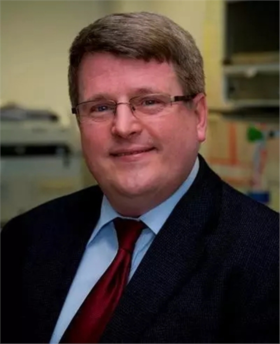 1.webp (2).jpg 1.webp (2).jpg