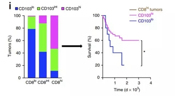 5.webp.jpg 5.webp.jpg
