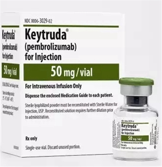 3.webp.jpg 3.webp.jpg