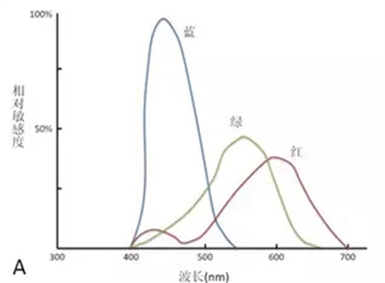 1.webp (1).jpg 1.webp (1).jpg