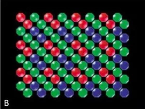 2.webp (1).jpg 2.webp (1).jpg