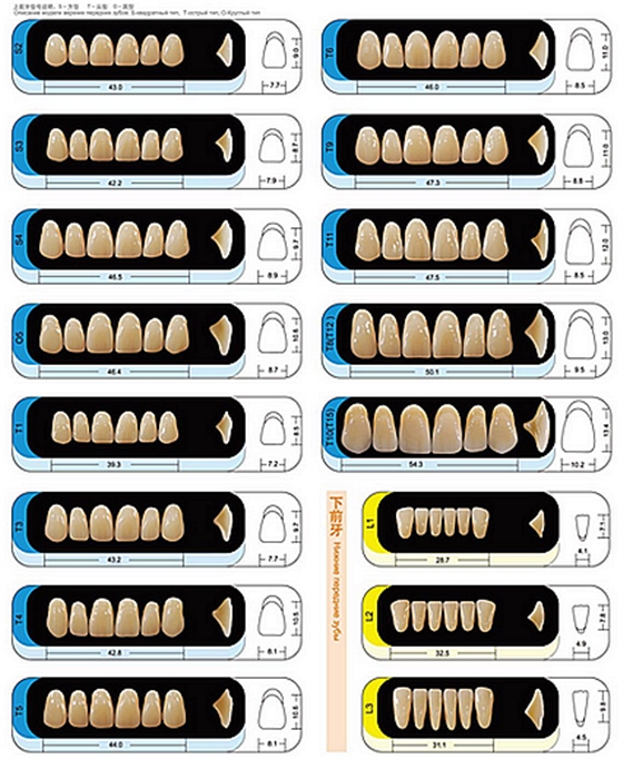 賀力氏 護(hù)嵴舒豪華型合成樹脂牙