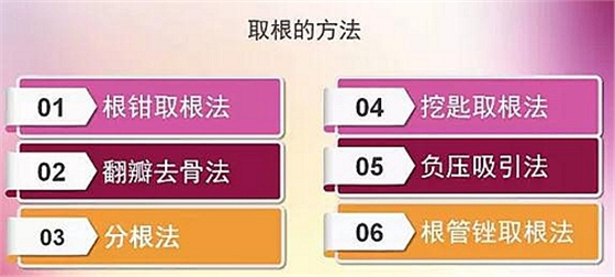 拔牙斷根的去與留？