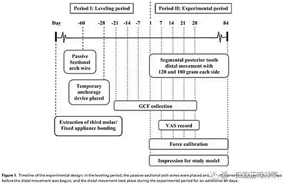 正畸文獻(xiàn)閱讀-兩種不同矯治力下上頜后牙段遠(yuǎn)移的生化與臨床比較 正畸文獻(xiàn)閱讀-兩種不同矯治力下上頜后牙段遠(yuǎn)移的生化與臨床比較