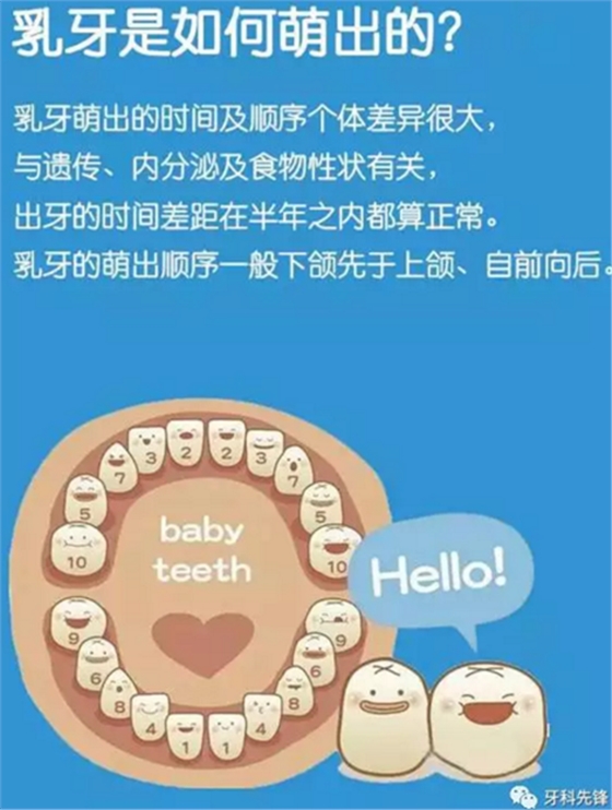 0~6歲寶寶口腔知識干貨集錦 0~6歲寶寶口腔知識干貨集錦