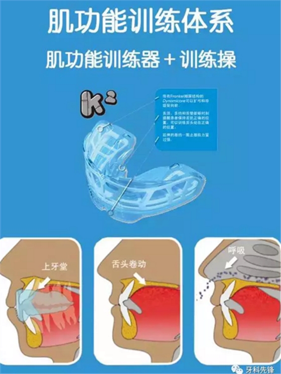 0~6歲寶寶口腔知識干貨集錦 0~6歲寶寶口腔知識干貨集錦