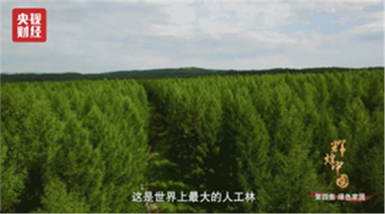 小崔的曝光讓人震驚？然而今天，這些人才是值得去曝的！