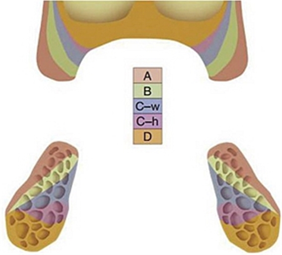 無牙頜種植修復(fù)的檢查與設(shè)計——施斌教授 無牙頜種植修復(fù)的檢查與設(shè)計——施斌教授