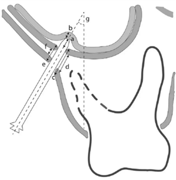 科貿(mào)嘉友口腔 科貿(mào)嘉友口腔