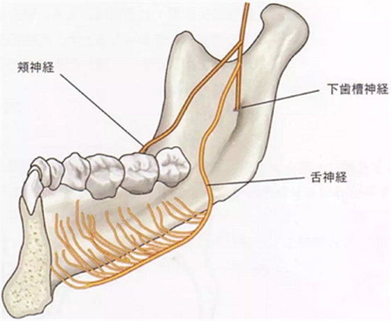 種植手術(shù)的12個(gè)重要操作 種植手術(shù)的12個(gè)重要操作