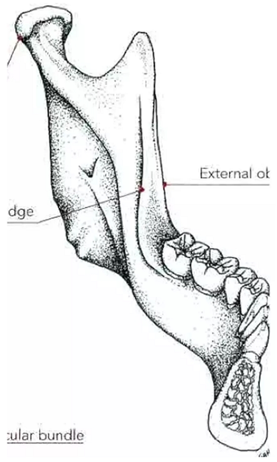 種植手術(shù)的12個(gè)重要操作 種植手術(shù)的12個(gè)重要操作