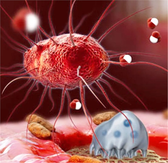 《科學(xué)》子刊：牙周炎細(xì)菌導(dǎo)致阿爾茨海默病實(shí)錘！科學(xué)家發(fā)現(xiàn)導(dǎo)致牙周炎的細(xì)菌能輕易侵入大腦，分泌有害蛋白誘發(fā)AD丨科學(xué)大發(fā)現(xiàn)