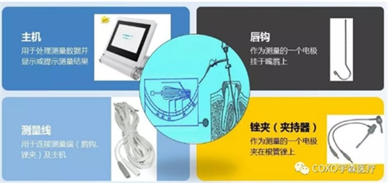 多頻技術(shù)的根管長度測定儀 多頻技術(shù)的根管長度測定儀